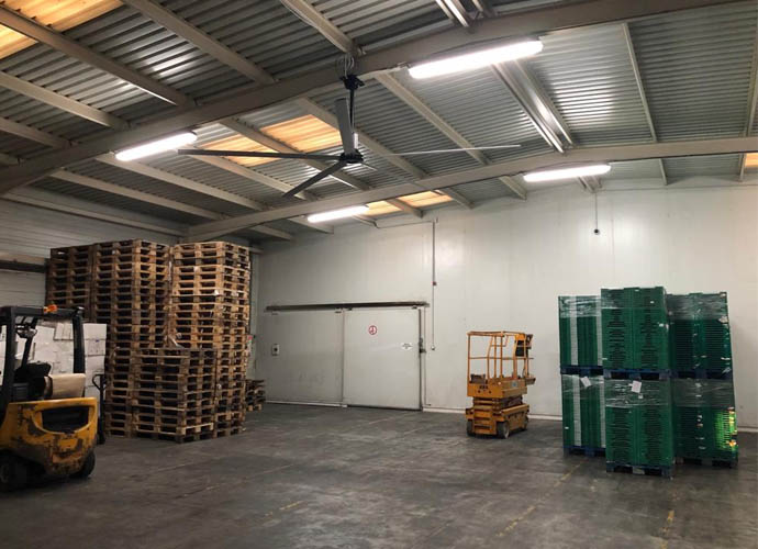 Posizione di installazione del ventilatore HVLS in fabbrica