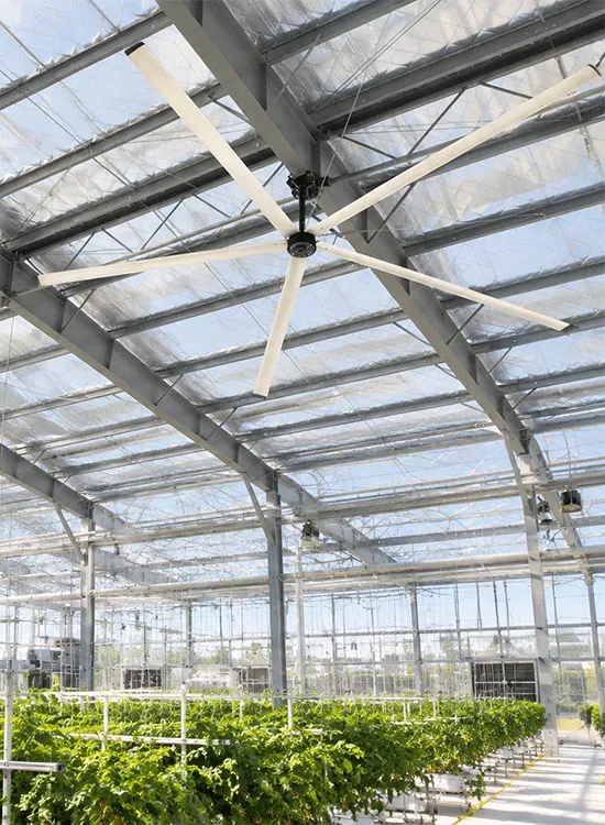 AGRICULTURE-1