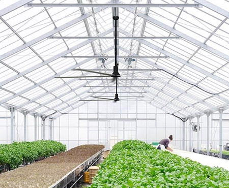 ventilateur hvls