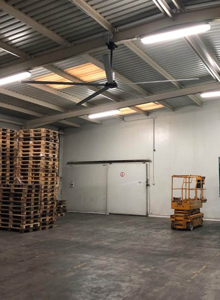 hvls fan