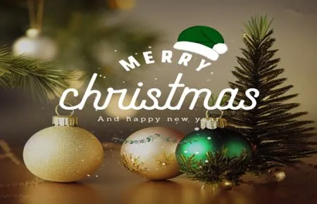 ¡Los más sinceros deseos de los fans de Vindus para Navidad y Año Nuevo!