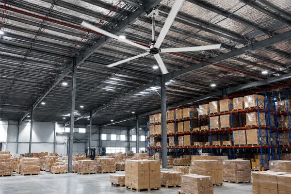 hvls1