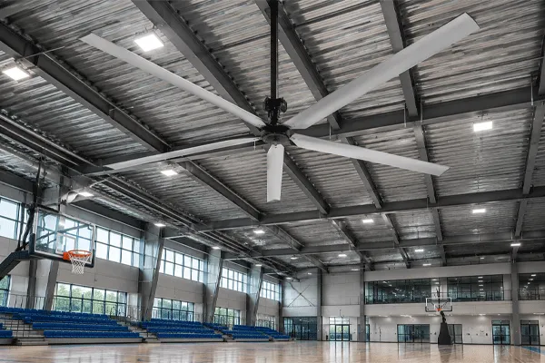 fan-gym-1